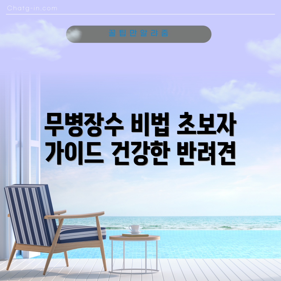 초보자도 쉽게 실천하는 반려견 무병장수 건강 가이드