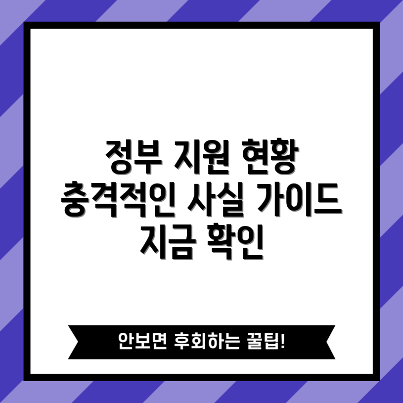 충격적인 정부 지원 현황 가이드!