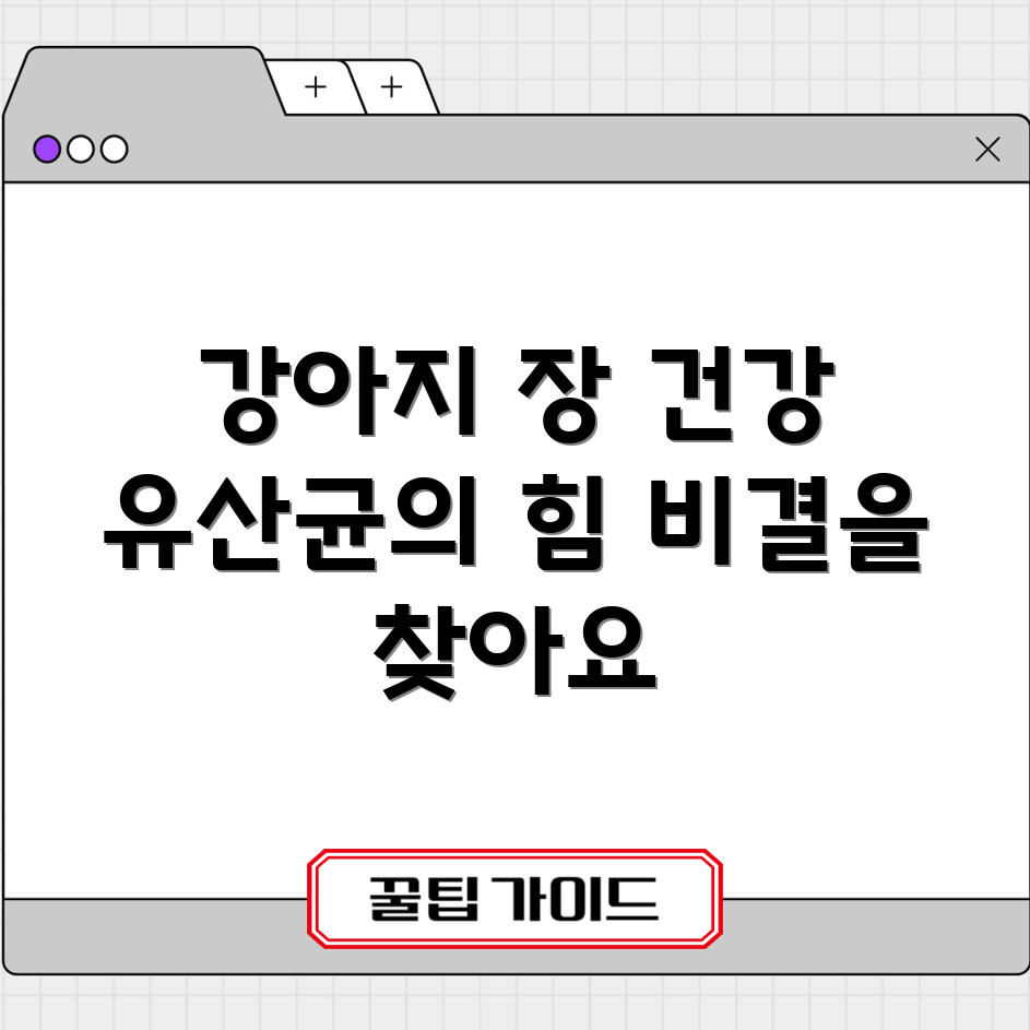 강아지 유산균, 건강한 장 건강을 위한 비결일까요?