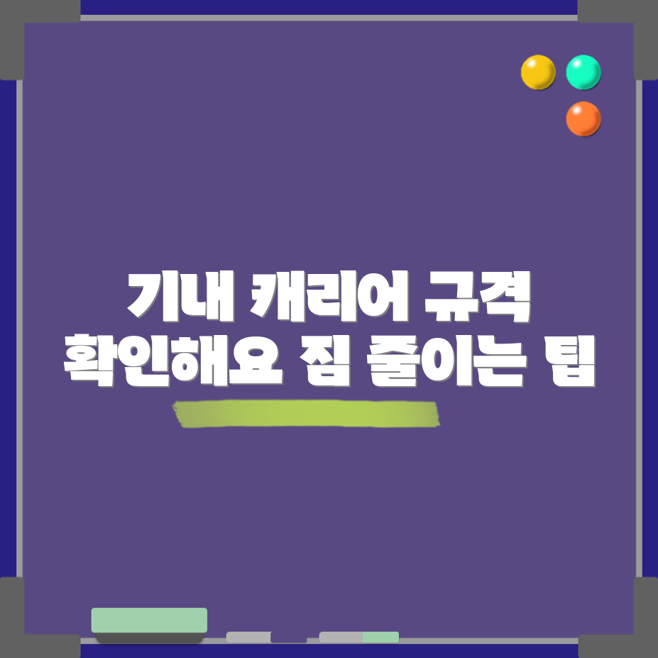 비행기 기내 캐리어 규격, 확인해볼까요?