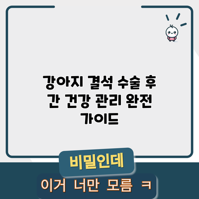 강아지 결석 수술 후 간 건강 관리 완전 가이드
