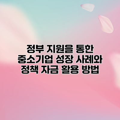정부 지원을 통한 중소기업 성장 사례와 정책 자금 활용 방법