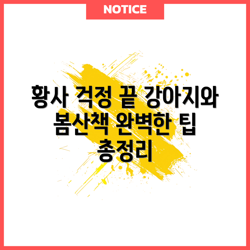 봄철 황사 대비 강아지 산책 완벽 가이드