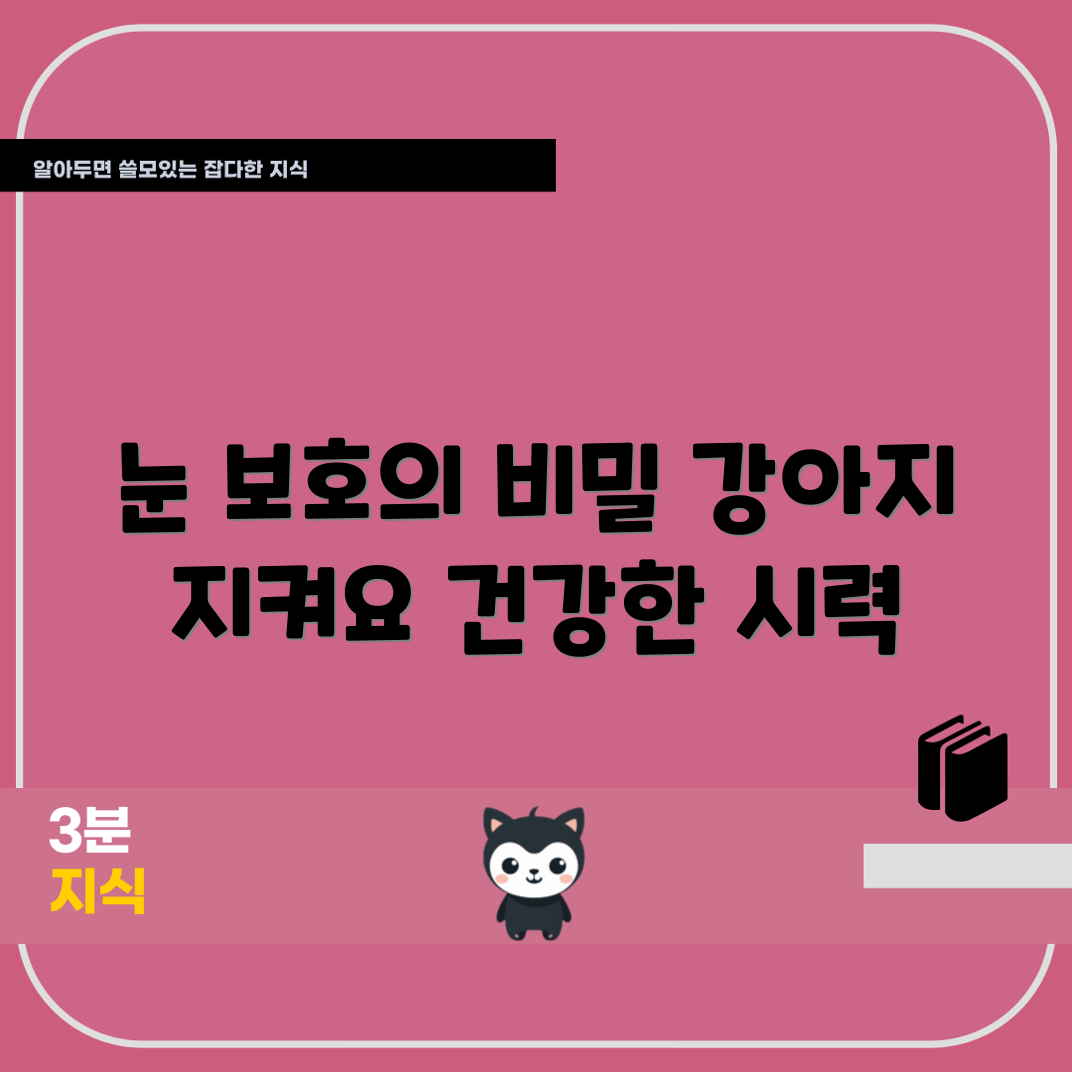 강아지 눈 보호 요령은 무엇일까요?