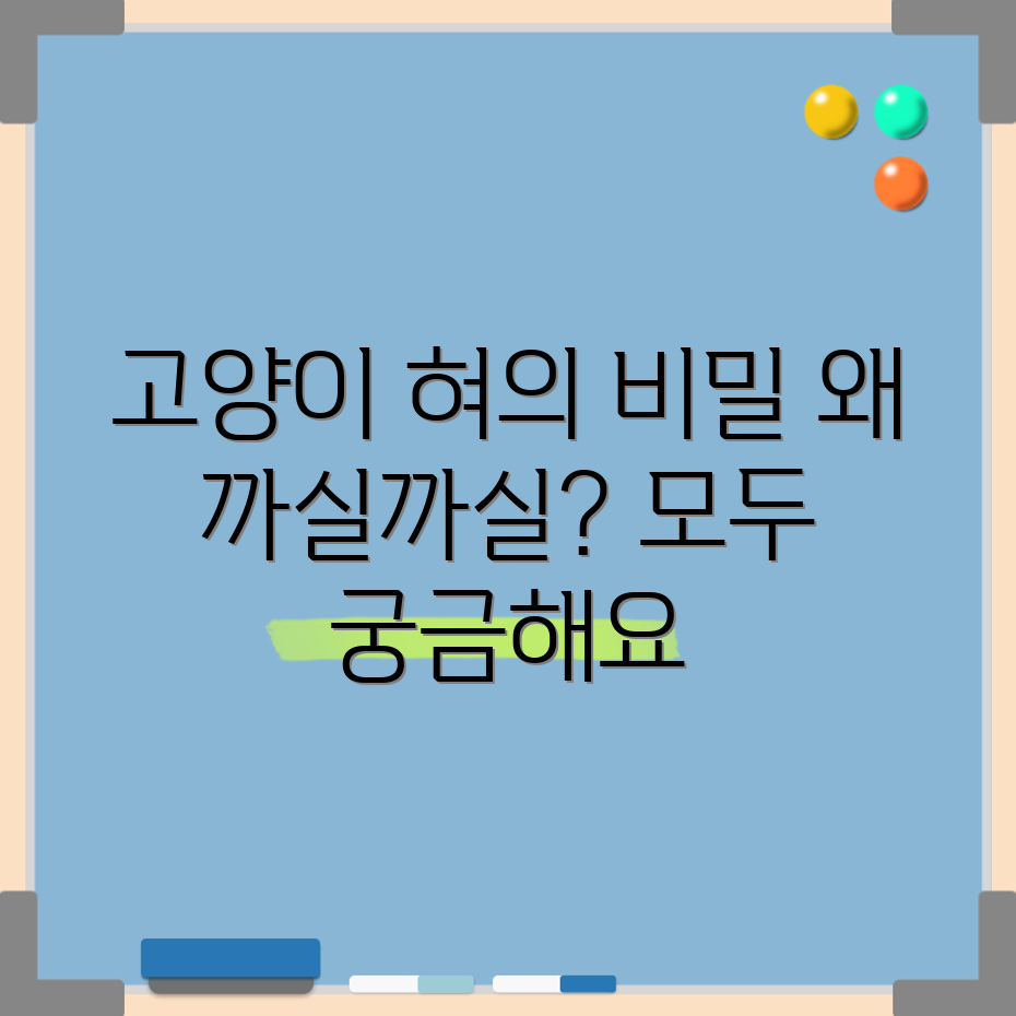 고양이 혀의 비밀, 왜 까실까실할까요?