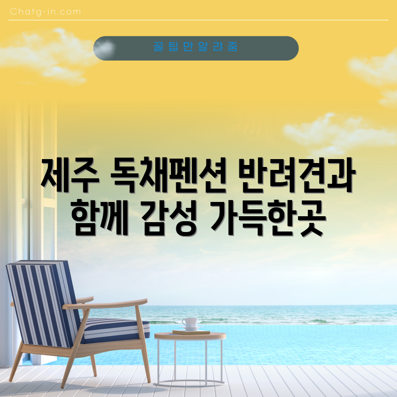 반려견과 제주 동쪽의 감성 독채펜션, 어떤 곳일까요?