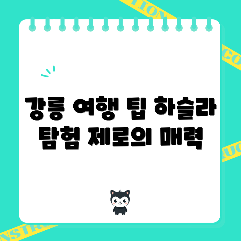 하슬라와 제로 탐험하기: 강릉 완벽 가이드