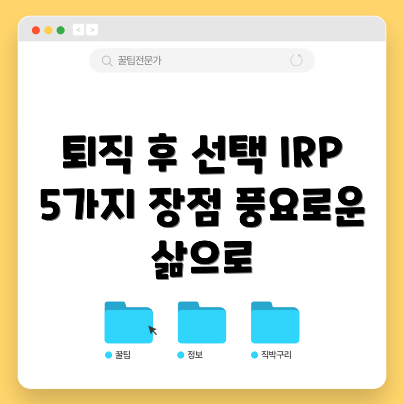 퇴직 후 풍요로운 선택: IRP 납부 5가지 이점