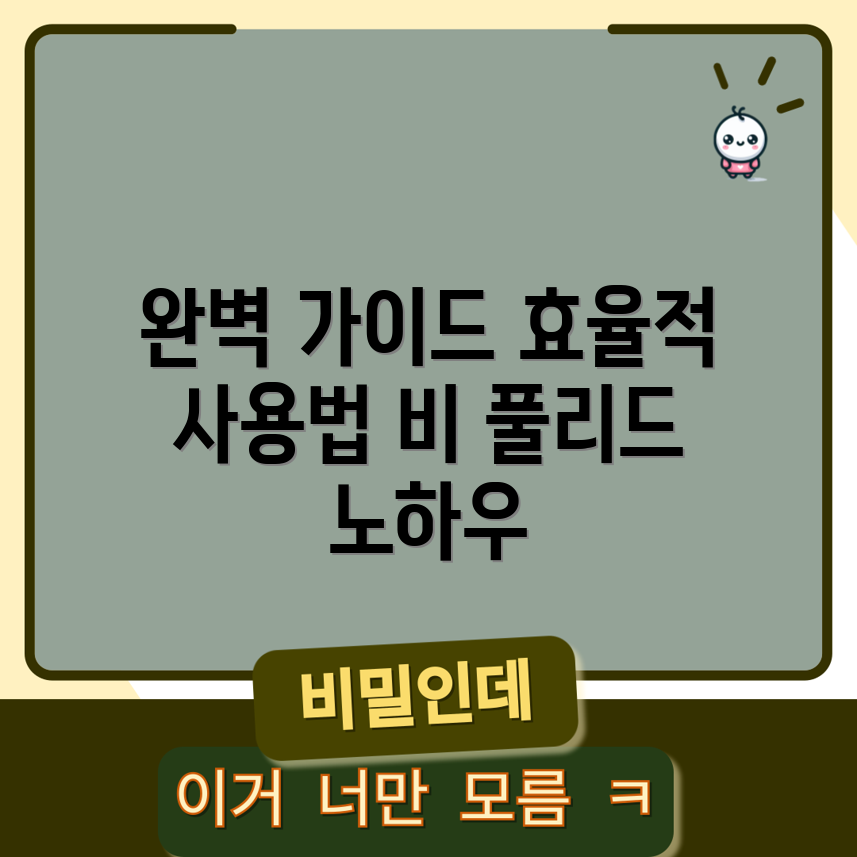RD 비 풀리드 효율적 사용 완벽 가이드